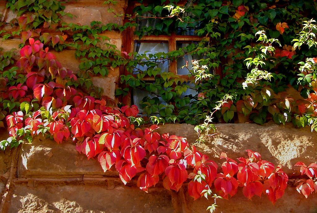 Lake Clarens Guest House Extérieur photo