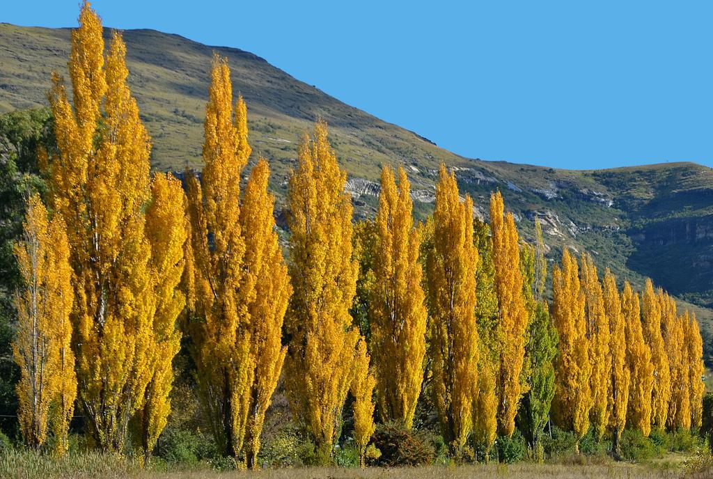 Lake Clarens Guest House Extérieur photo