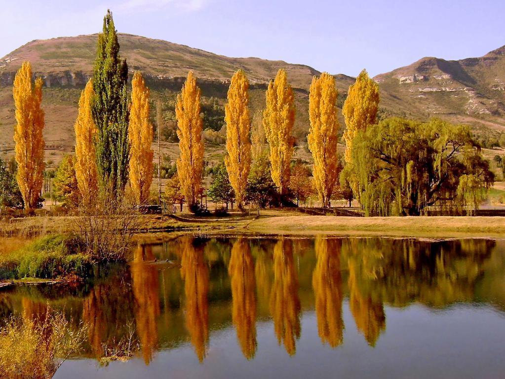 Lake Clarens Guest House Chambre photo