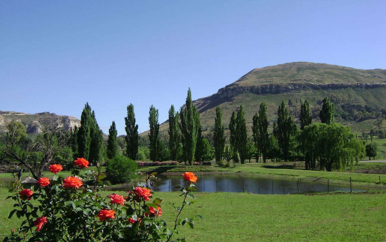 Lake Clarens Guest House Extérieur photo